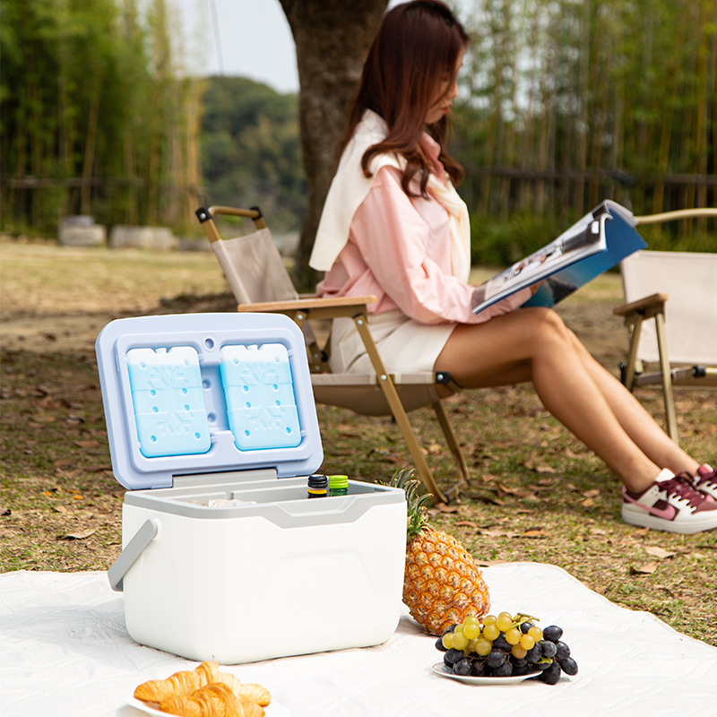 Venta al por mayor 5.5L L para llevar caja de regalo portátil fruta fresca caja de Bento 20 L incubadora comercial