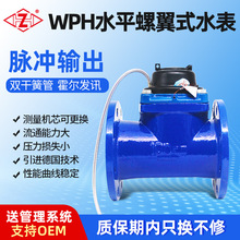 WPHˮƽ�����ɲ�ˮ���T�F�{���о��}�_����~����ֱ�x DN40-200