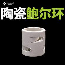 萍乡科源 供应冷却塔陶瓷散堆填料鲍尔环耐高温耐腐蚀陶瓷鲍尔环