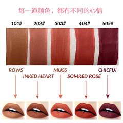 VIBELY外貿啞光霧面防水不沾杯不掉色唇釉裸妝五色液體唇釉