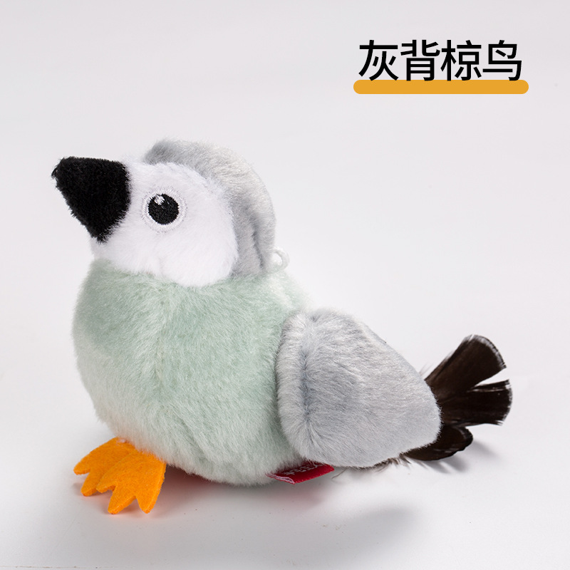 회색 뒷받침 찌르레기