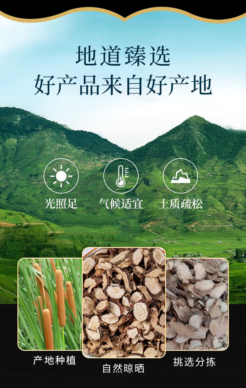 Shi Chang Pu (Acori Tatarinowii Rhizoma) — Dried Food Herb Rhizome, 500g overview