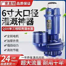 �¹�����QDXǱˮ��õ���220V�����ȫͭ��ˮ����ھ�5��6��ũ��