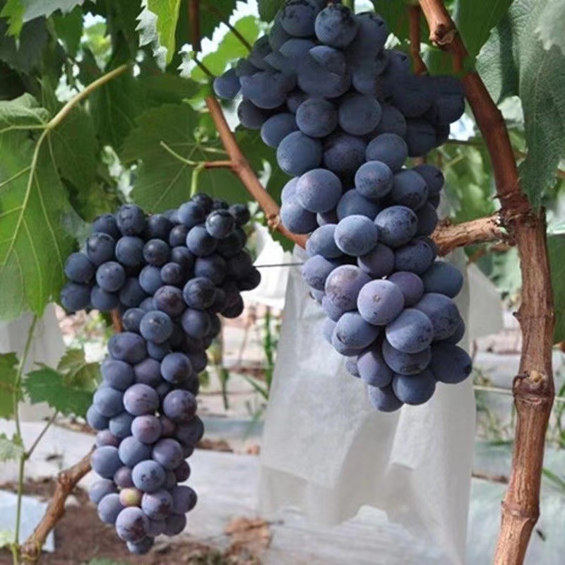 微信图片_20220902111848