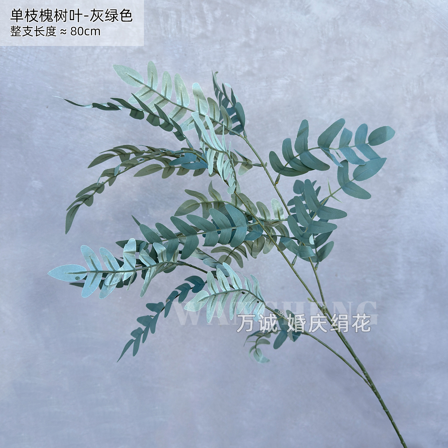 Gray-green single-branched locust leaves