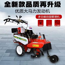 �[���Nֲ�����C ����186����@����C ����;�߲˻����_����¡�C