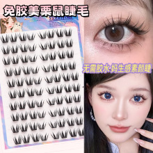 �z�zС���_����+֪ĩ+���������z�ٽ�ë�`�����w��ٴ�������ճ