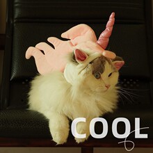猫咪独角兽头饰小猫项圈头套猫咪装扮头饰露耳朵宠物毛绒帽子装饰