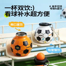 2026���籭���򱣜ر������\��ˮ��316���P�����ˮ���Ӵ�Ǳ�