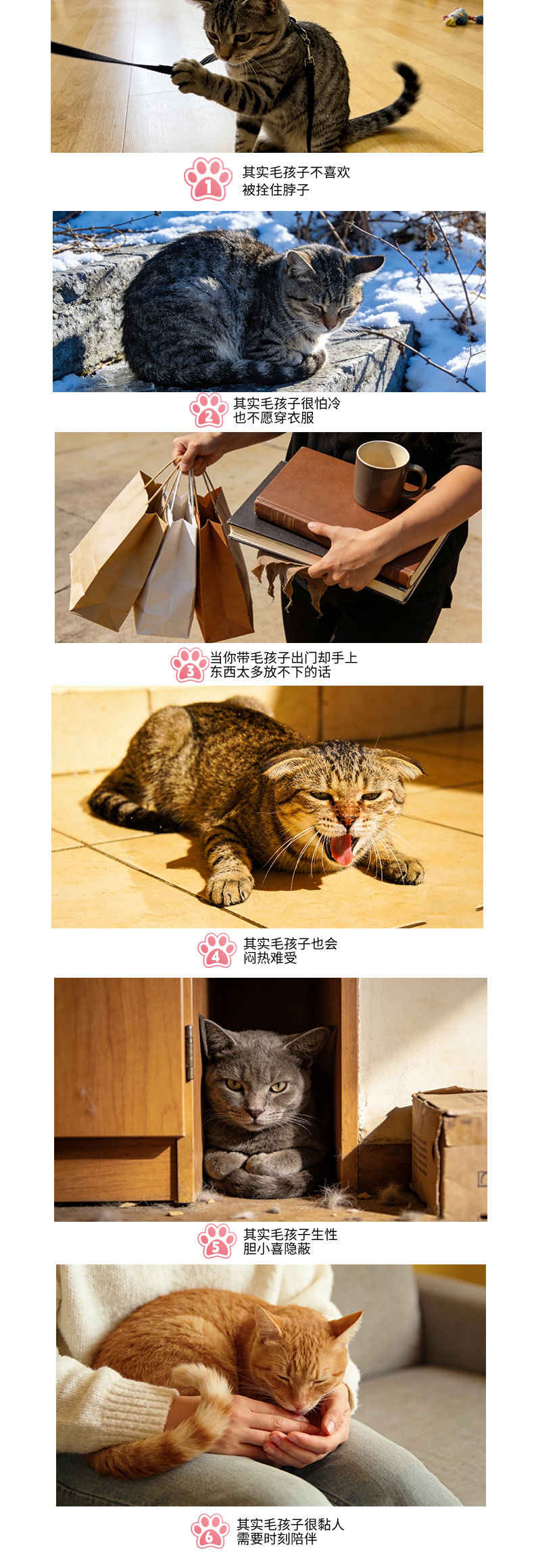 微信图片_20260330140920_123_64