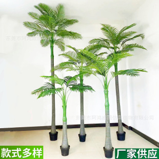 ���晉�Ƙ��辰Ҭ�Ә������҃��������bGֲ�쾰�S���晉�ƹ�