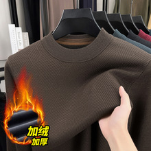 �ﶬ����ʿһ�w�q�Ӻ�ë�¸߶˾�������Ứë������I���ᘿ���