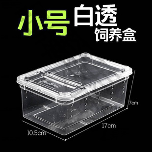 ���I������B�����x�����д���С̖�䗫��С����֩���p�_��Խ�z��