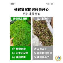 ?̦�\�r��װl�\����\����̦�r�������\΢���^�̽q�\ֲ��ͥԺ��