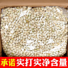 大颗粒开心果批发散装原味盐焗净重袋装整箱炒货干果坚果零食代发