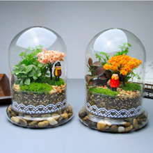 苔藓微景观 创意礼品摆件 苔藓瓶生态瓶 二合一圆柱左右走情侣