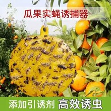 ���ٹ���ճ�x�� ����ω��С��ω�Tω�� �ˈ@��ω��h�Tճ���T����
