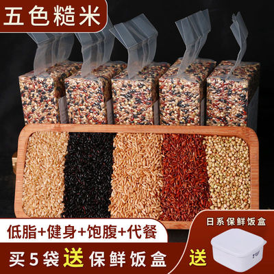 Grain Cereal porridge Colored Brown rice Lunch box Grain Coarse Cereals Brown rice Embryo rice pregnant woman 450 gram/bag