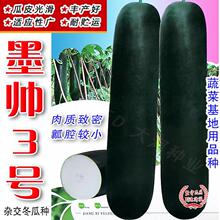 �F�Ķ��ϷN�� �s���L��Ƥ�󶬹�����С������ܿڸк� �������