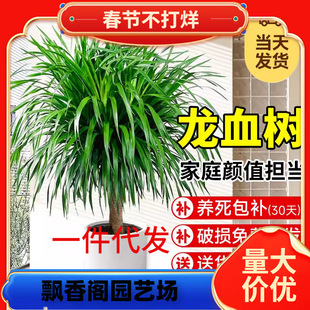 һ�����l��Ѫ��͏d���ԾGֲ�҃ȴ��ͺ��B���^��횘����F���绨��