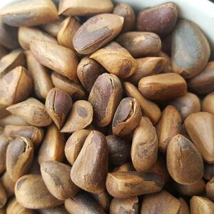 ��Ʒ�|���ش��w����Ƥ�t�����ЋD�Đ�ԭζ�_�ڴ��w�����Ӱ����b