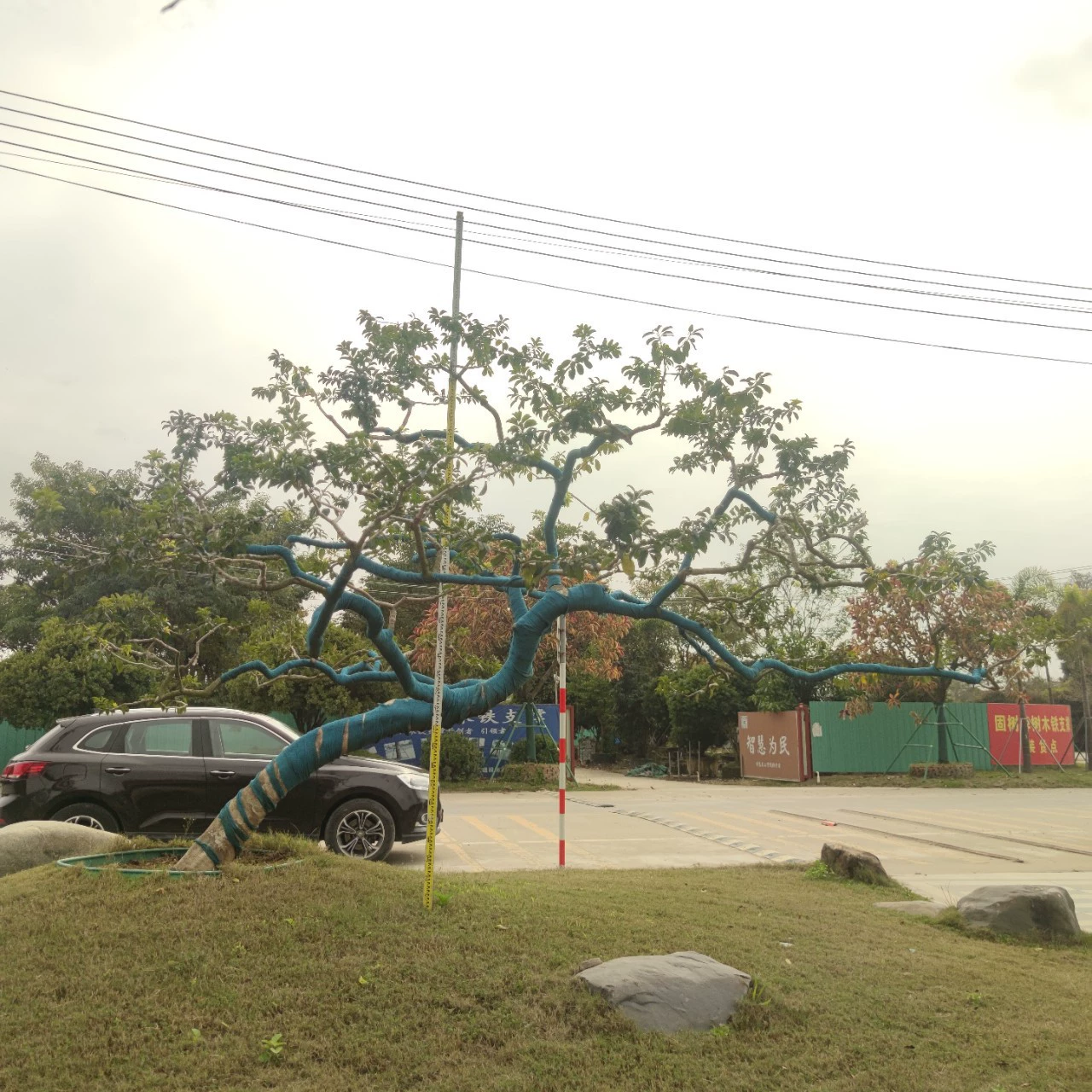 2302 База снабжения имеет форму наклонного железного падуба