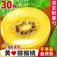 �Ĵ��S�īJ�����殐�����rˮ���������Fժ�����Ҵ���ЋD������]