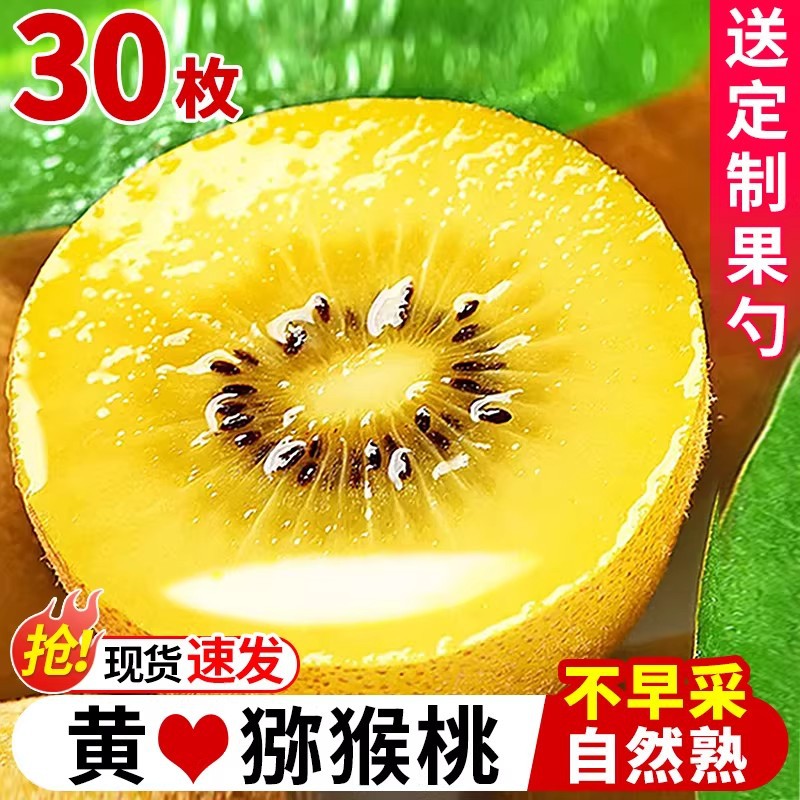 四川黄心猕猴桃奇异果新鲜水果应当季现摘弥猴桃大果孕妇整箱包邮