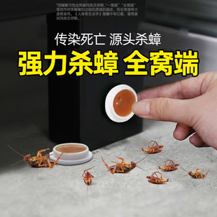 Household Kitchen Cockroach Killer Powder, Non-Toxic, Powerful Cockroach Extermination Tool, Specialized Insecticide Powder for Killing Cockroaches