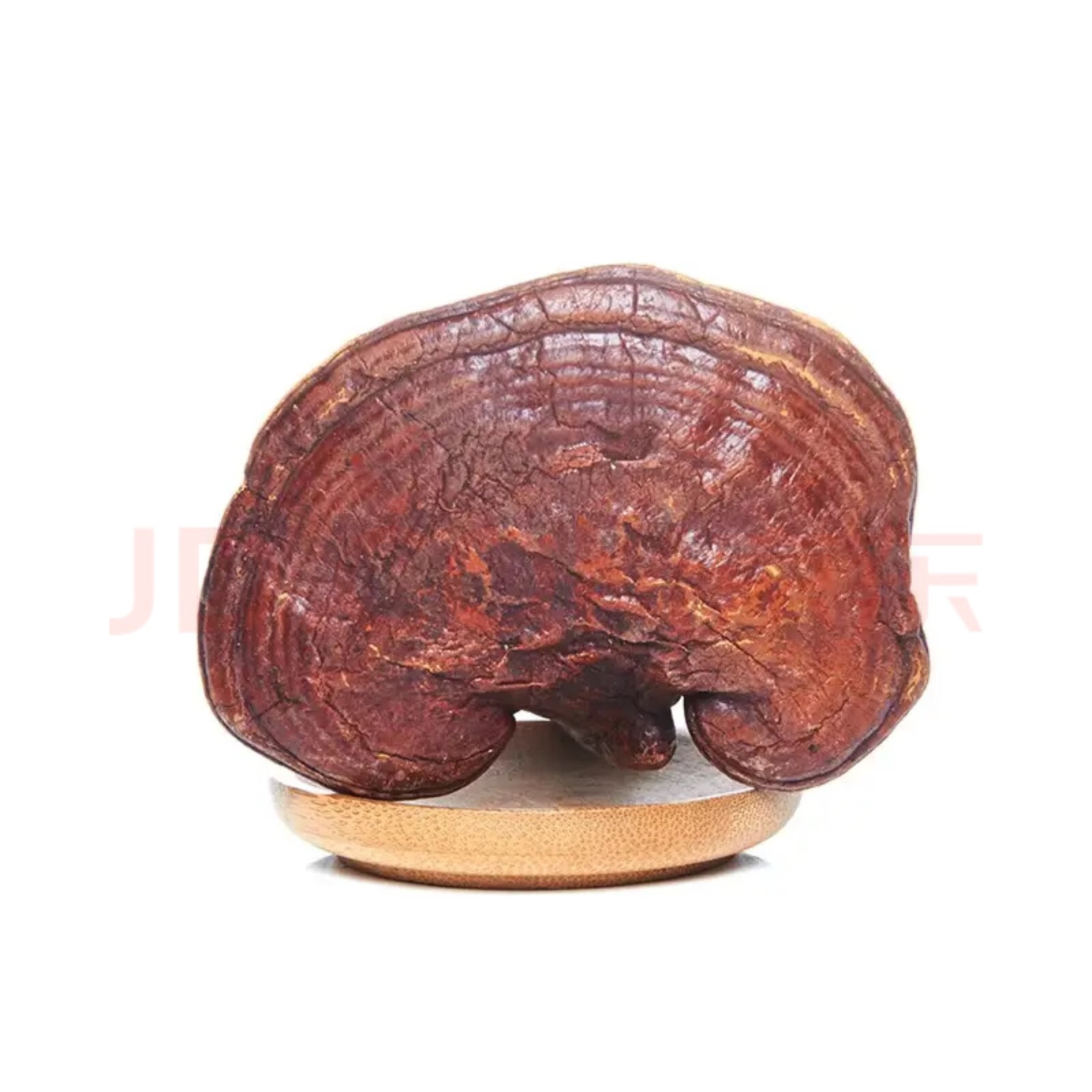Changbai Mountain Red Lingzhi Whole Dried Reishi Mushroom Ganoderma lucidum Ling Zhi Sliceable Grindable 500g in use