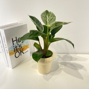 ���Wins�մ������־Gֲ���Ի����k���҃�����[�������՚����ȩ