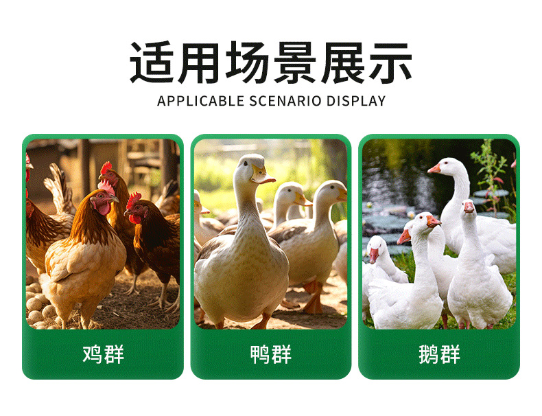 详情_06.png