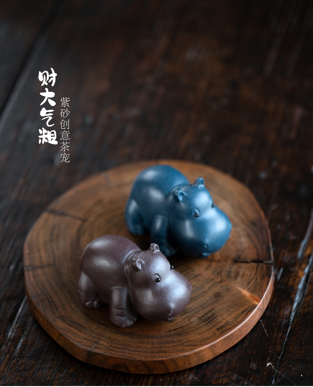 小河马20240528 (19).jpg