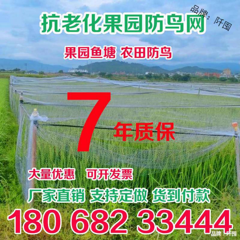果园防鸟网尼龙网果树樱桃葡萄防鸟用的网鱼塘天网大棚防护养殖网