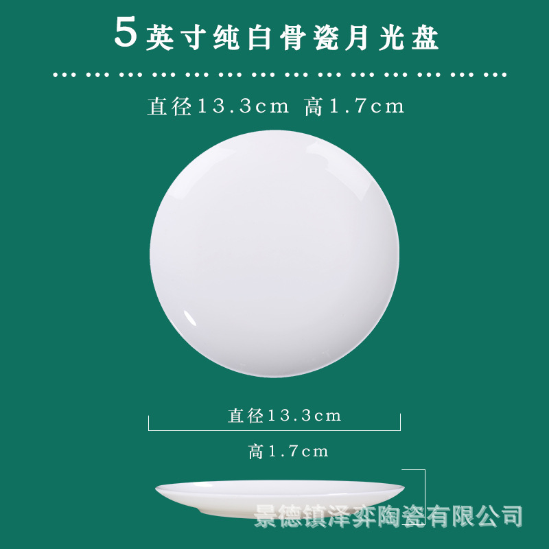 5 인치 문 CD