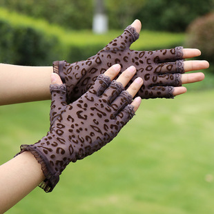 �¿��ٽz���׾W�����m����¶��ָ�͹Ń��ű��y���������f�}������