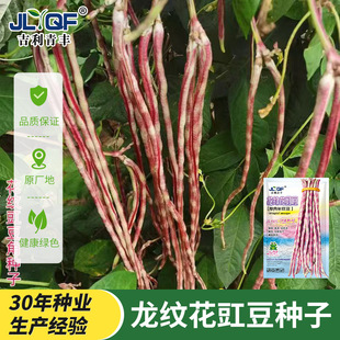 ���y���������N�Ӻ������ϻ����ǷN�Ѵ����ļ��̨�����߲˷N����