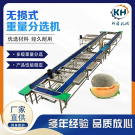 包装辅助设备;其他包装设备;肉品加工设备