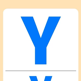 胸针;耳钉;项链