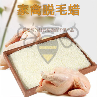 ����ÓëϞ Ϟ����w ����u���Z����İ�ë̎��