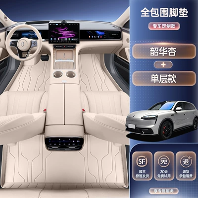 Modification Accessories, Carpet Floor Mats, Modelə uyğun ayaqaltı - 26-models-of-wenjie-m6-select-shaohua-apricot-foot-mats-anti-fouling-and-wear-resistant