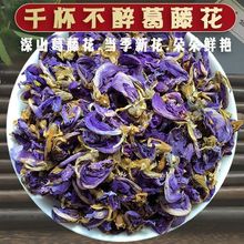 野生葛花茶解酒醒酒茶葛根花干紫藤花解酒神器葛花茶新鲜