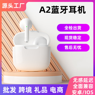 �羳�¿�A2Pro�A�����o���{�����CA2D���L�m�������|�\�ӽ�����C