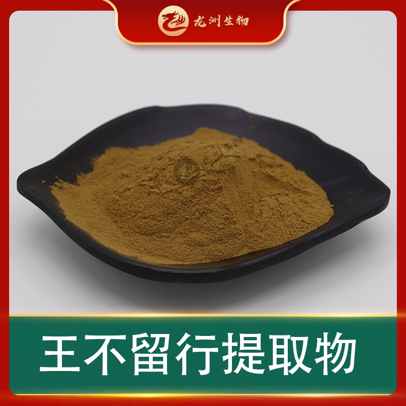 王不留行提取物  龙洲生物 水溶 王不留行萃取粉 量大从优
