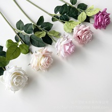 工厂直销出口外贸仿真花 英国小玫瑰 高品质手感保湿拍摄道具假花