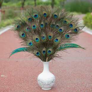 ��Ȼ��ȸ��ë��ƿ�[���͏d�b��ۿ�ȸ������ë�Ʒdiy����