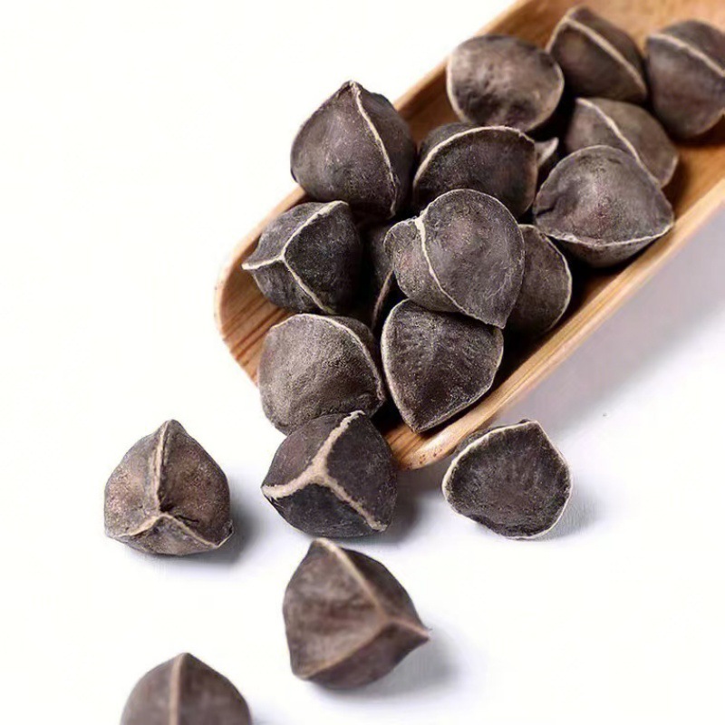 Moringa Seeds (Moringa oleifera) — Dried Food-Herb Seeds, 500g Yunnan Origin preparation