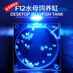 Stall jellyfish feeding tank jellyfish tank desktop display tank aquarium ecological fish tank red moon sea moon living breeding tank
