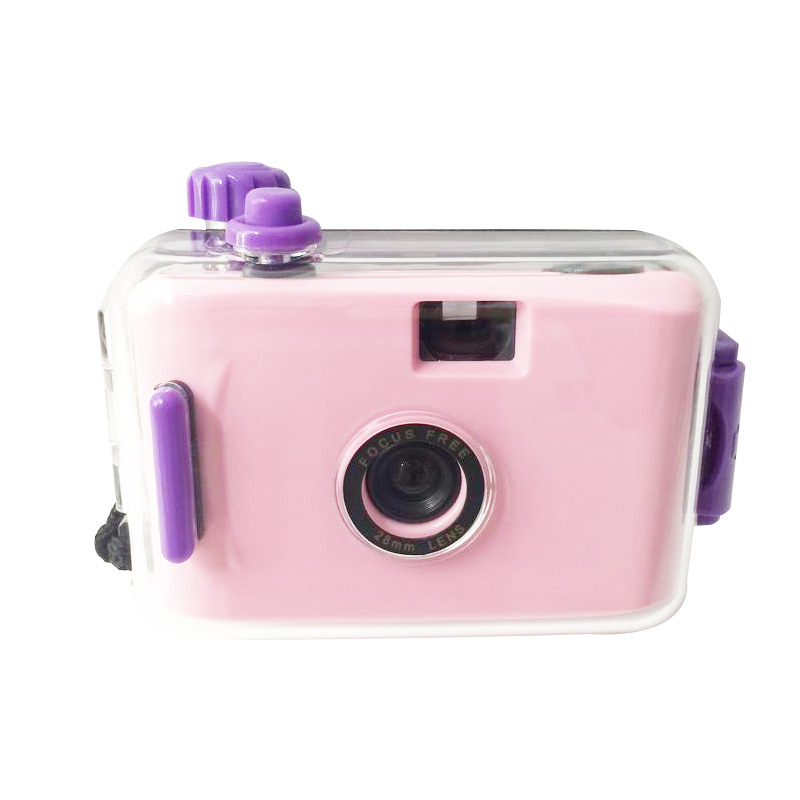 Light Pink Purple Shell