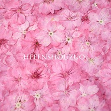�ѻ��滨��������ֲ���ك��ֹ�diy��������b���ɫֲ��˱�